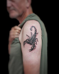 Scorpion - realism