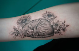 Flowers and cat - realism