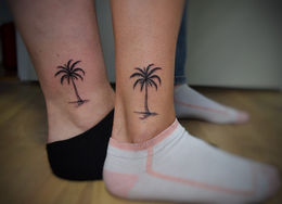 Fine line palm trees