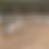 Thumbnail: (1) White Pea Chick Ea. PICKUP/TEXAS SHIPPING ONLY
