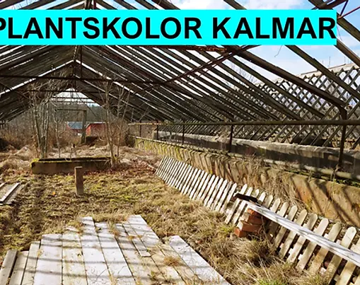 Plantskolor i Kalmar