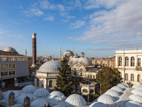 Examining Environment & Ecology: The 17th Istanbul Biennial