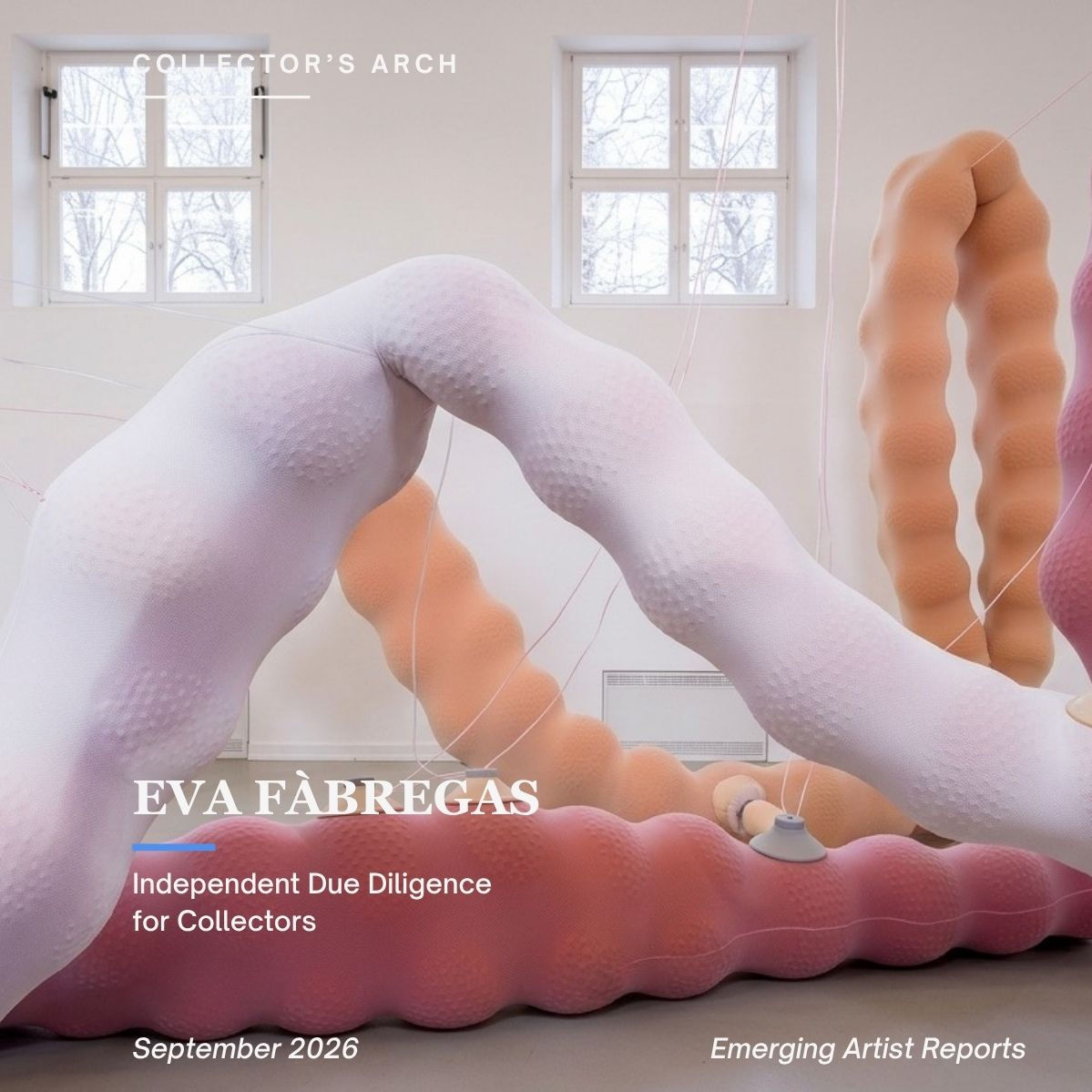 Eva Fàbregas — Career Trajectory Report