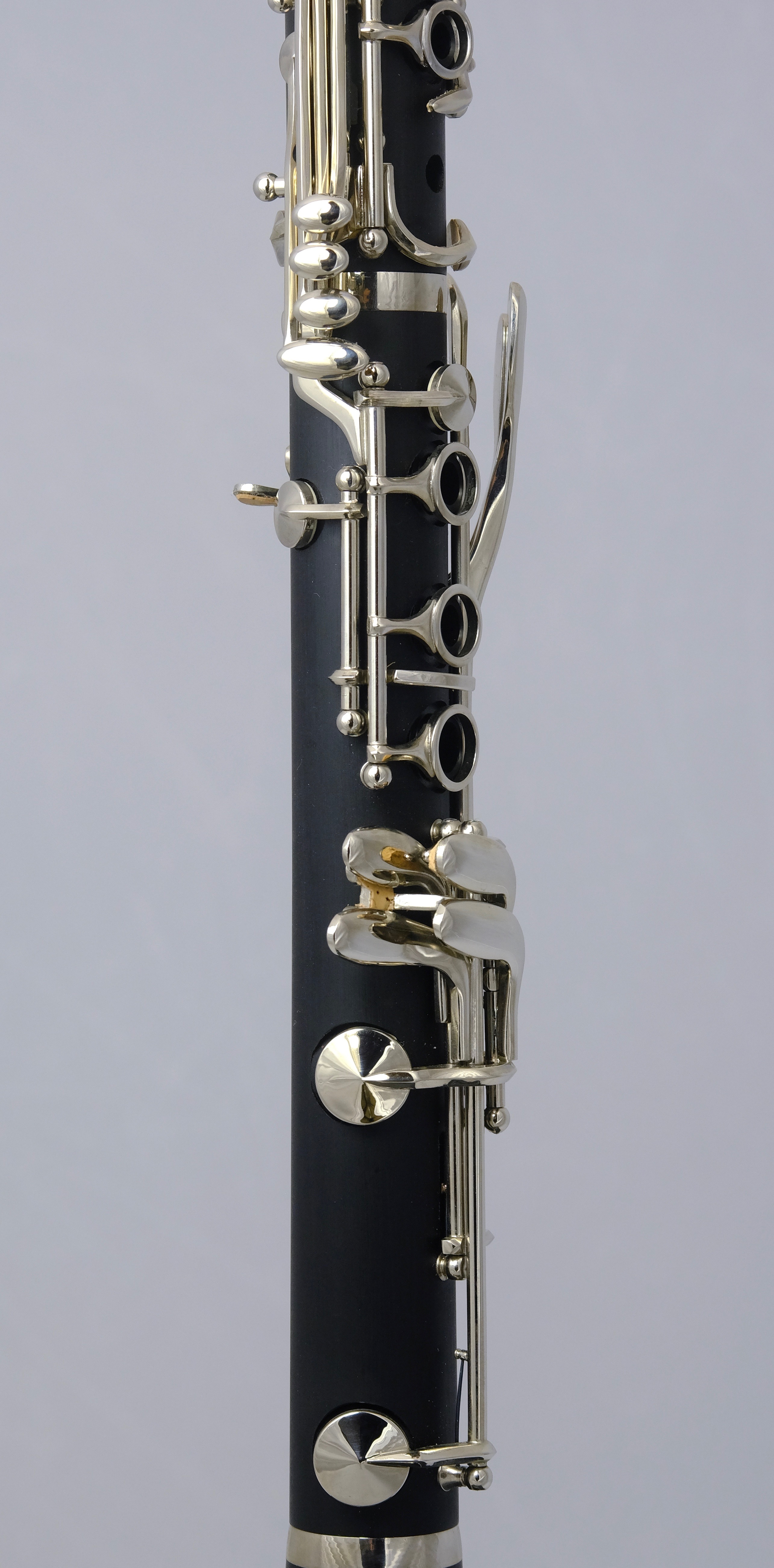 Lyrique Noblissima Bb mysite