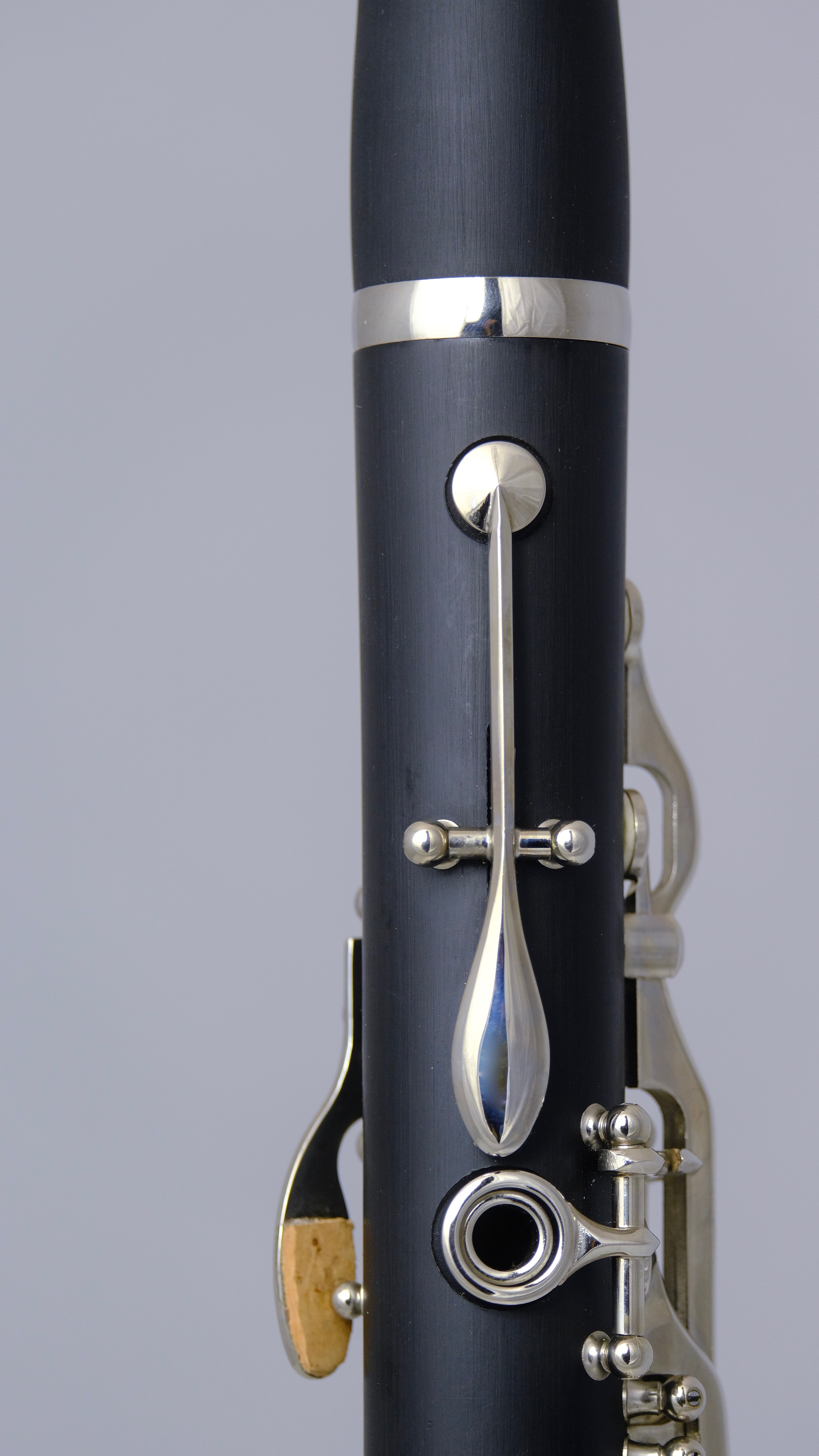 Lyrique Noblissima Bb mysite