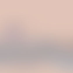 Fiche thématique 31.07.2023