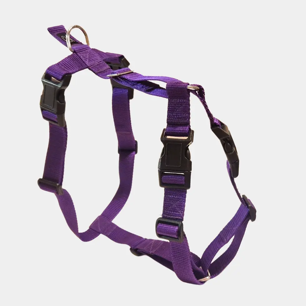 Sīktēls: Suņu krūšu siksniņa L