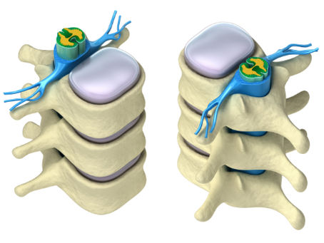 Why Hydration Is Important to Your Spine