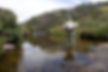 Fishing the Thredbo River