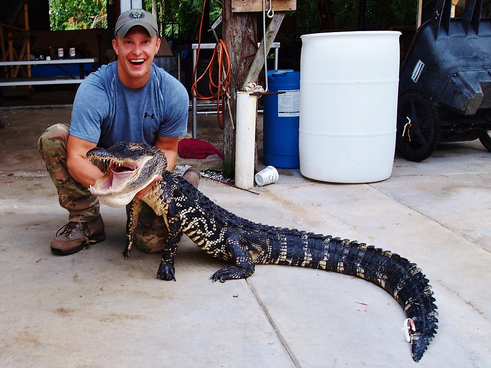 gator1.jpg