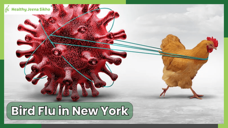 Bird Flu in New York: What You Need to Know