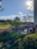 IMG_5865.JPEG