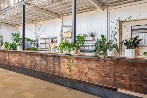 Coffee shop counter with plants, Commercial Real Estate
