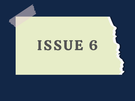 Issue 6