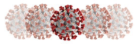 covid-19 virus.jpeg_itok=ILd0RX5a.jpeg