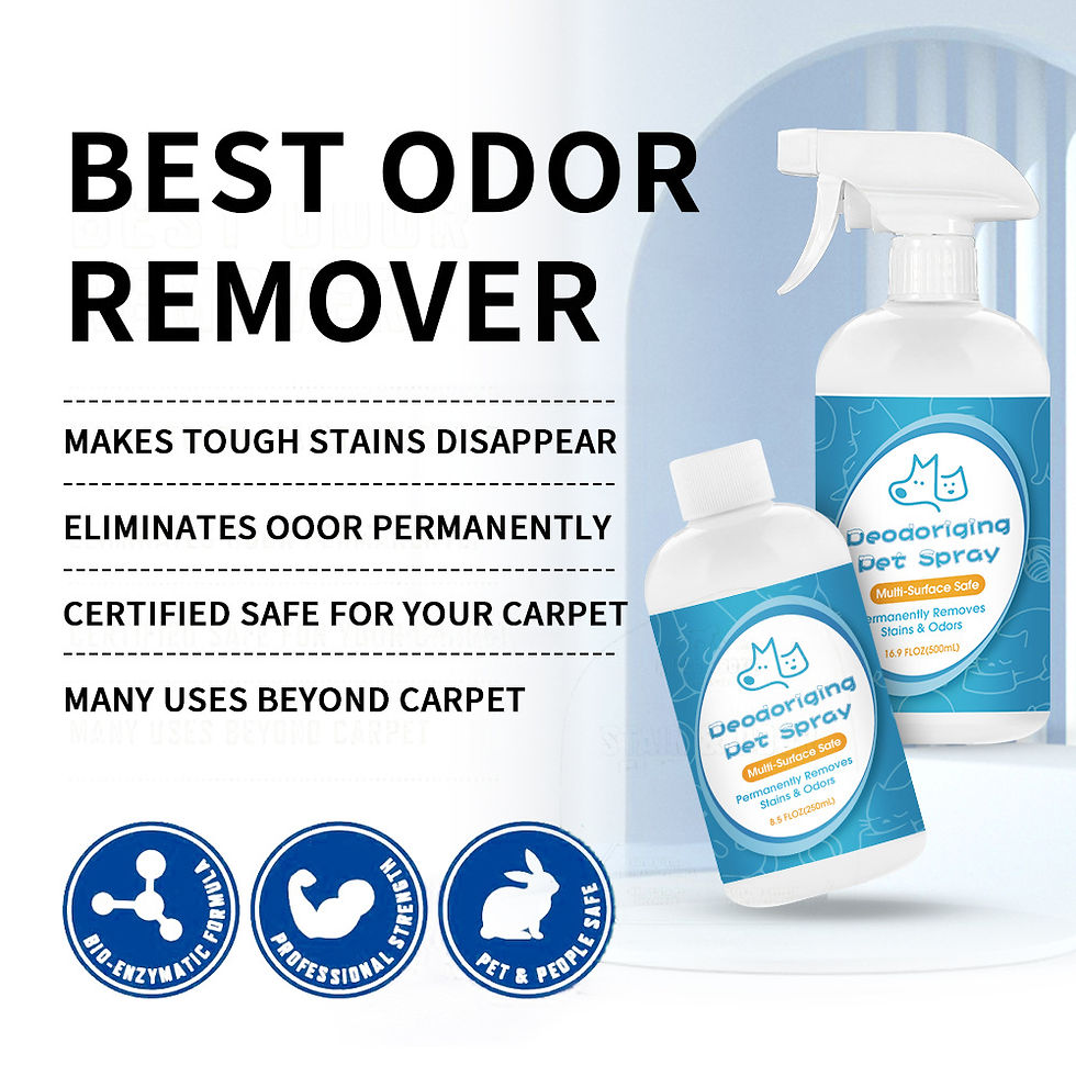 Miniatura: Pet Deodorizing Spray Enzyme Pet Supplies Deodorizer Odor Remover Cat and Dog De