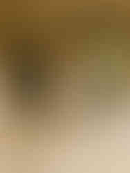 A bride and groom dancing in the West Portico at Planting Fields Arboretum