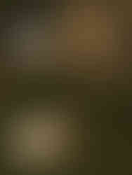 A bride and groom laying together on the grass in front of a stone castle at Planting Fields Arboretum