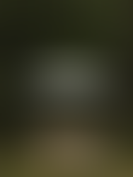 A wedding reception setup for a backyard wedding with an umbrella-covered table with a lace tablecloth