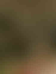 A documentary style wedding photography photo of guests entering a backyard wedding reception