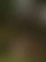 Documentary style wedding photography of bridesmaids running around bride holding hands