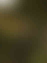 A groom smiling for a wedding portrait