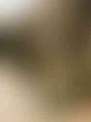 A bride and groom walking through stone path at West Portico at Planting Fields Arboretum