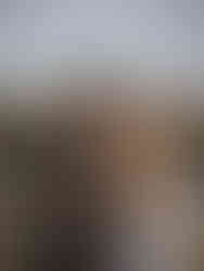 A couple posing on a bride in Paris