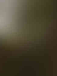 A bride and groom leaning in for a kiss in stone walls at Planting Fields Arboretum