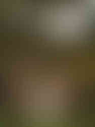 A wedding party photo at planting fields arboretum with bridesmaids in pink, green, and brown bridesmaid dresses