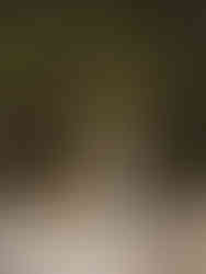 Wedding details from a backyard wedding reception with an audio guestbook