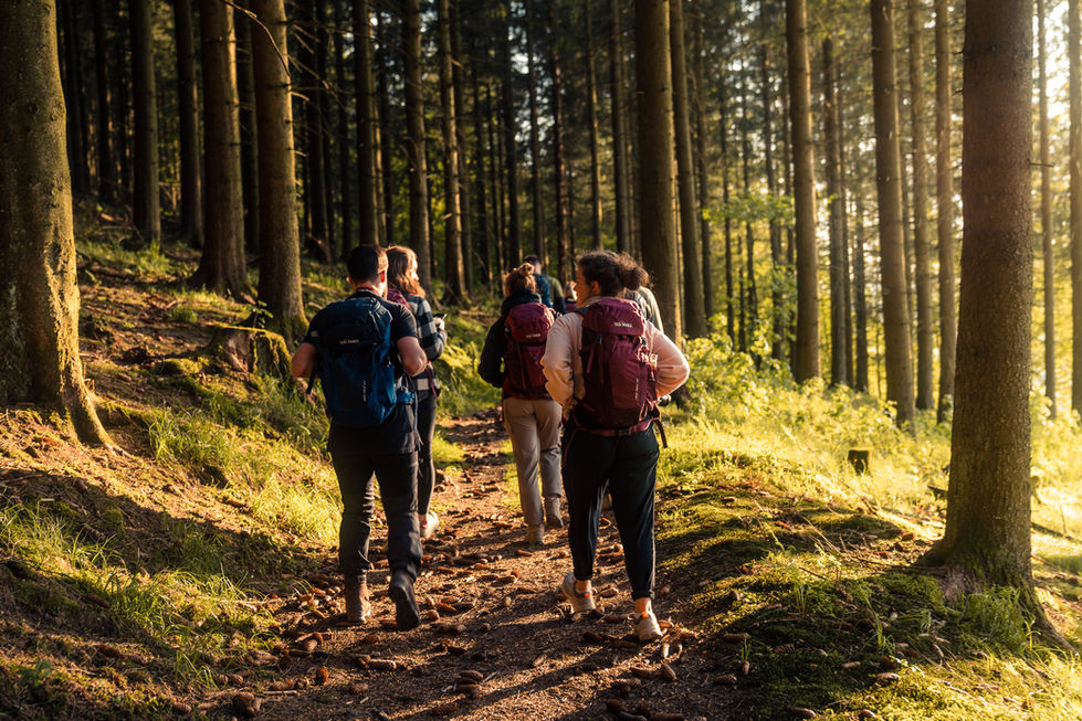 Viele Wanderer tragen einen Tatonka Trekkingrucksack auf einer Wanderung.