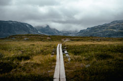 Wanderstege auf dem Kungsleden.