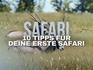 Ein Thumbnail von einem Blogbeitrag über Tipps zur Safari.