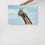 Miniaturbild: Fine-Art Giraffe Leinwand - minimalistische Wildlife-Fotografie aus Namibia