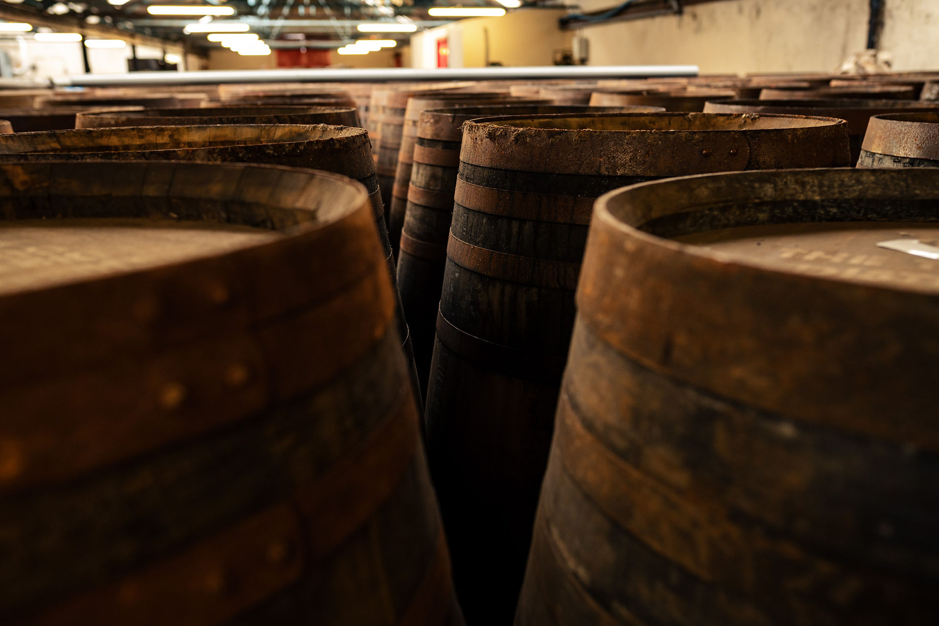 Alte Whisky Fässer.