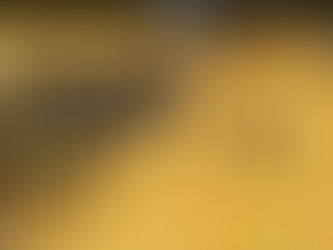 祝🎉またまた優勝😆