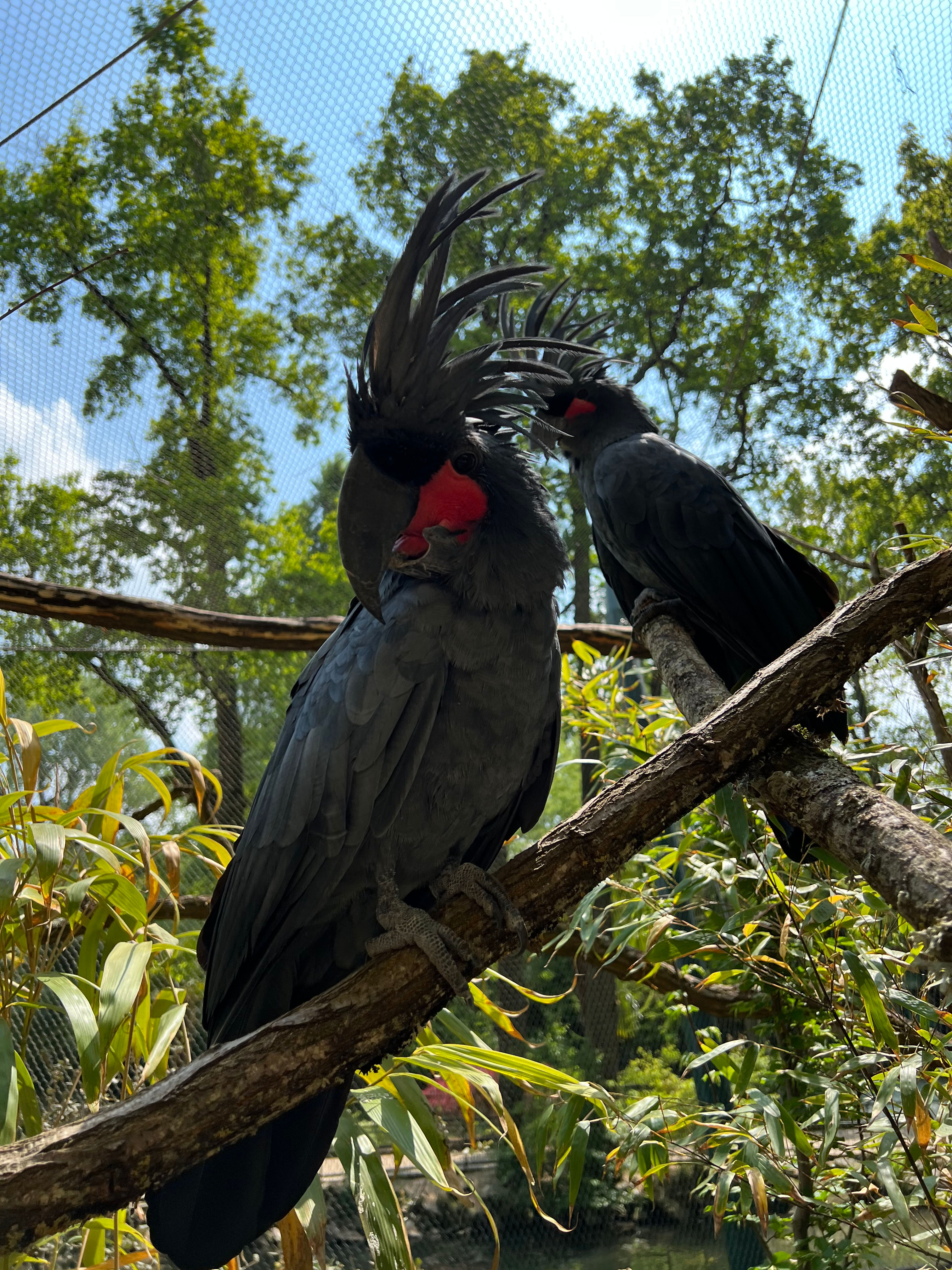 Accompagnement professionnel