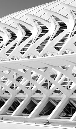 ESTRUCTURAS DE CALATRAVA