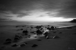 ATARDECER VALLARTA BNSEA MARBEL