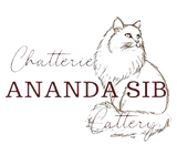 Chatterie chats sibérien Québec