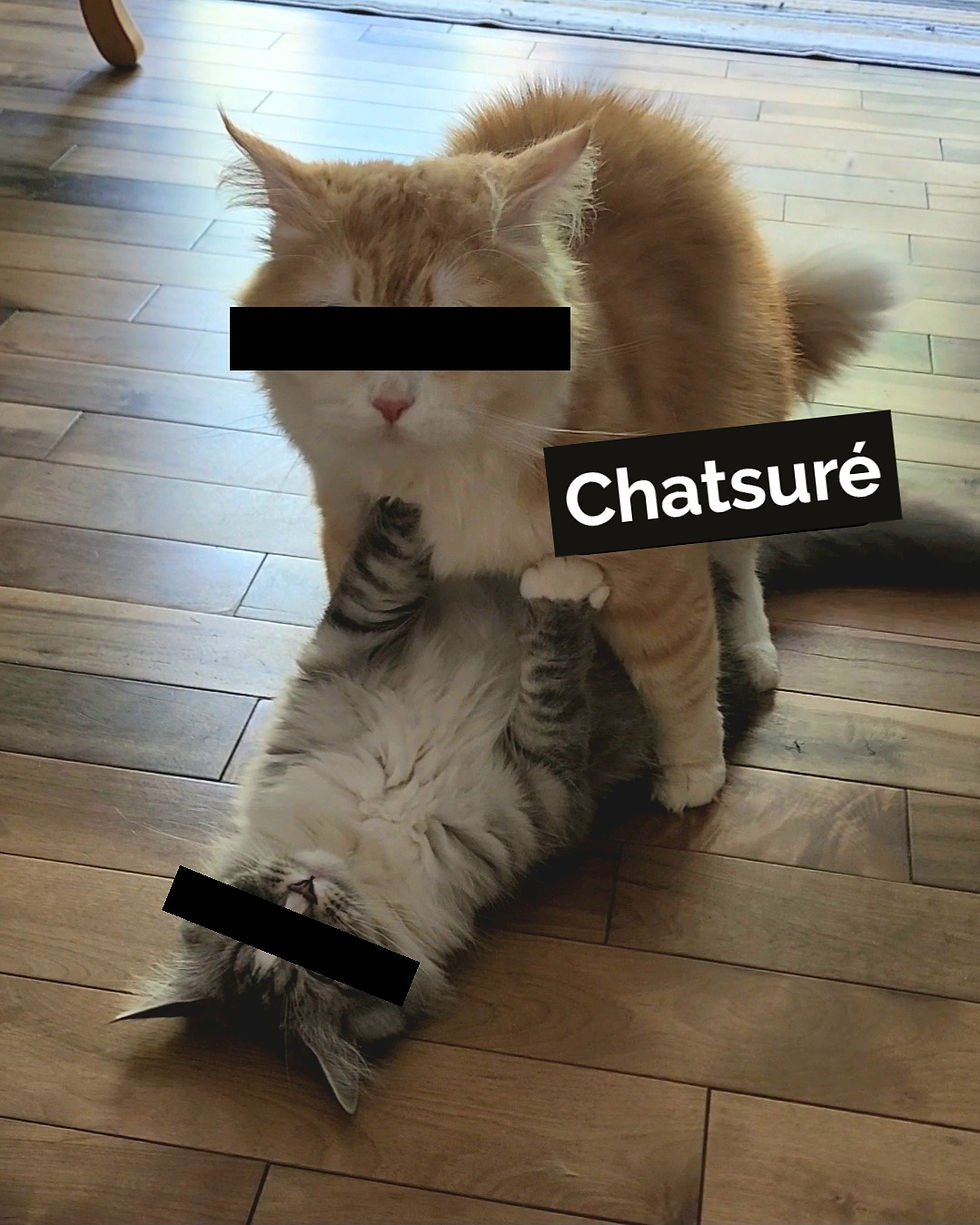 (Sans commentaire...)