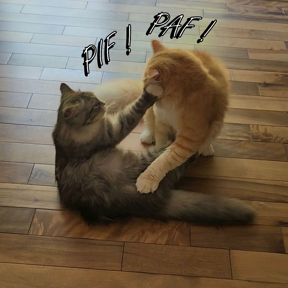 Moi qui reçoit une bonne gifle en pleine face... embarrassant