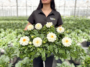 Rainbow Greenhouses_Daliah's in greenhouse.jpg