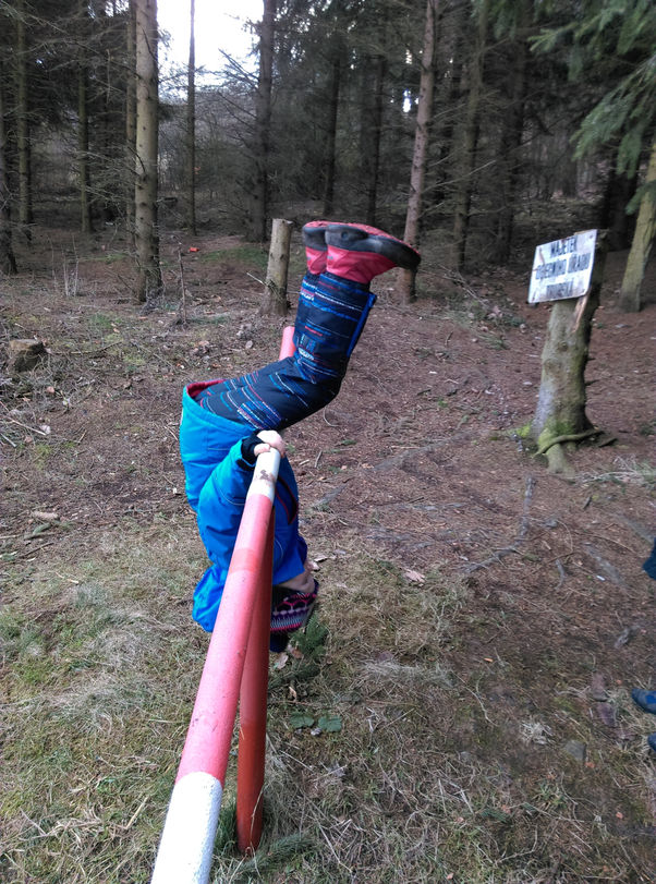 Co tělocvik v lesní škole?