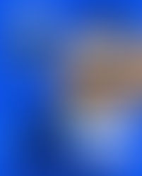 Poetry Reading at Spark Festival