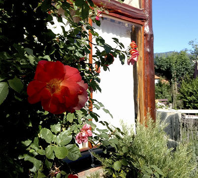 Rosa - Carpe Diem - Cabañas & Suites