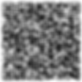 Bildschirmfoto 2025-01-10 um 14.21.25.png