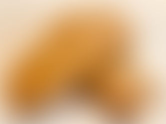 Fish Fingers (custard optional)