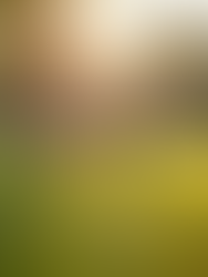 Kids Playing in Local Park